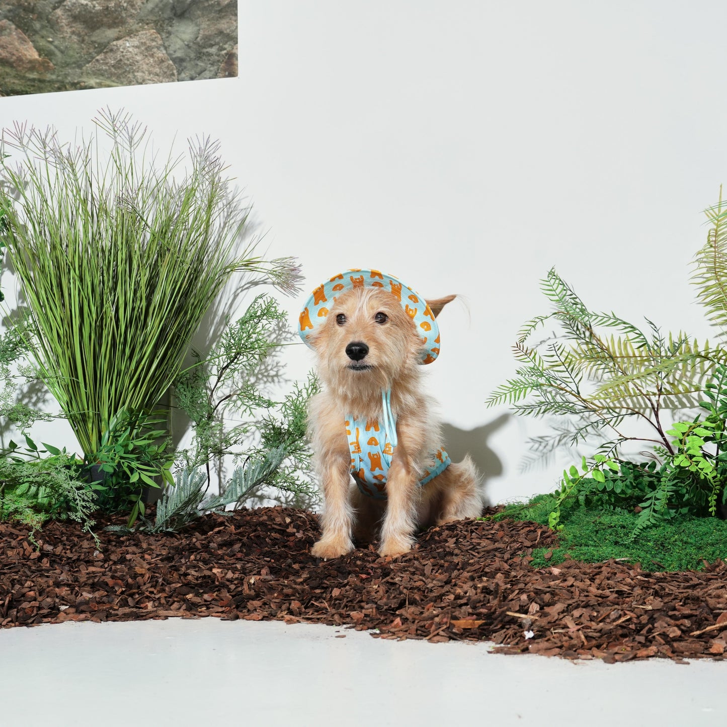 Chapeau rafraîchissant Jumping Bear (menthe)