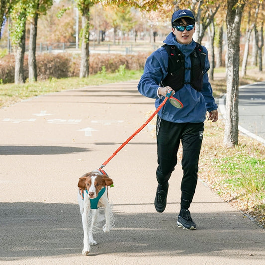 GO Mentum Bungee Lead