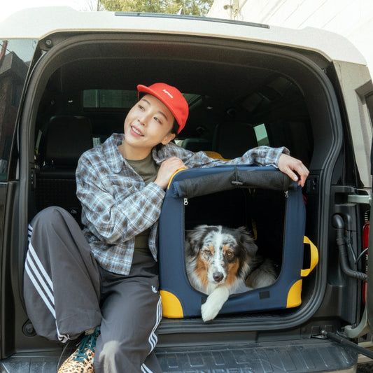 Clay Club Urban Soft Crate - Pet Soft Crate