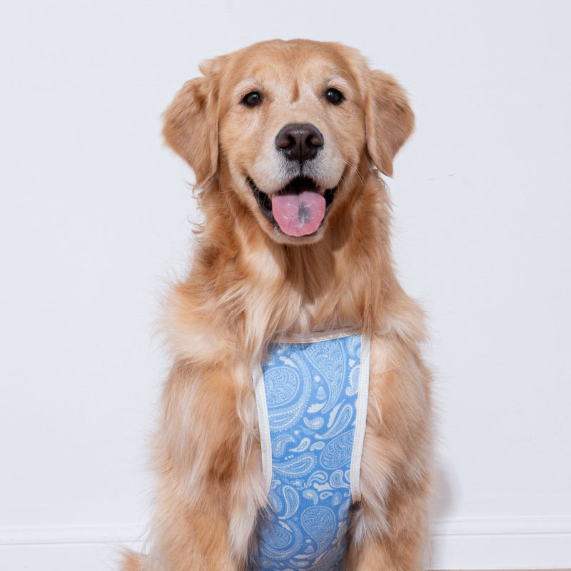 Paisley Lover Pet Cooling Tank Top