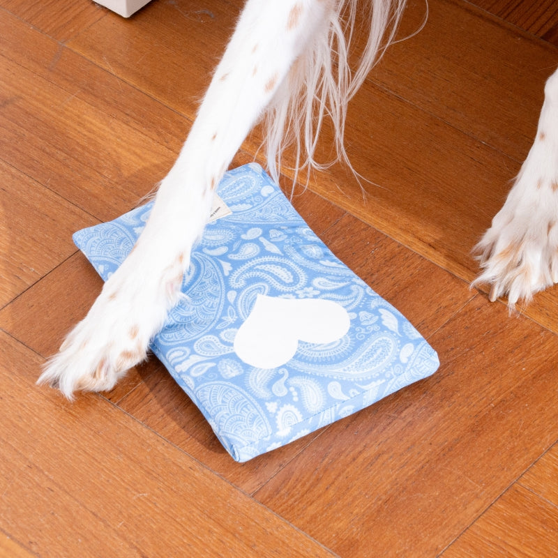 Paisley Lover Ice Pack Pouch - Pet Stroller/Carrier cooling pad
