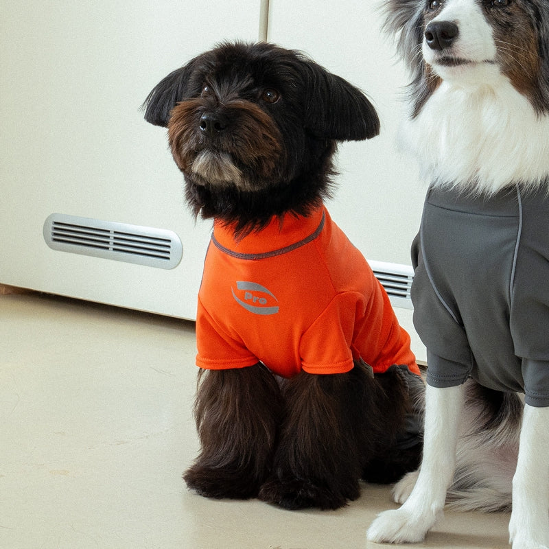 Essential Training Suit (Short Leg) - Pet Cooling Jumpsuit