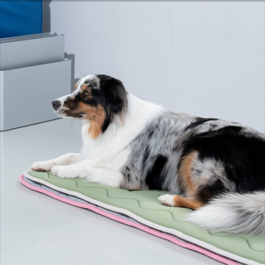 Cool Wave Memory Foam Pet Mat