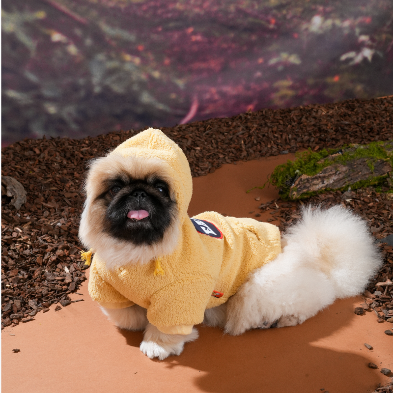 Earth Sherpa Hoodie