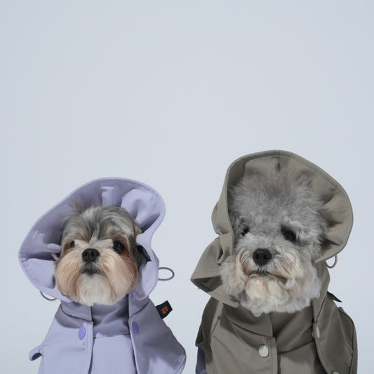GO Pro Weather Snood