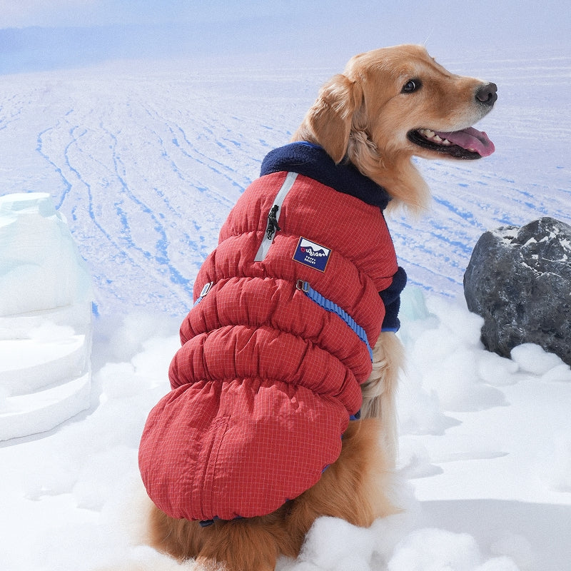 Ice Field Color Block Padding
