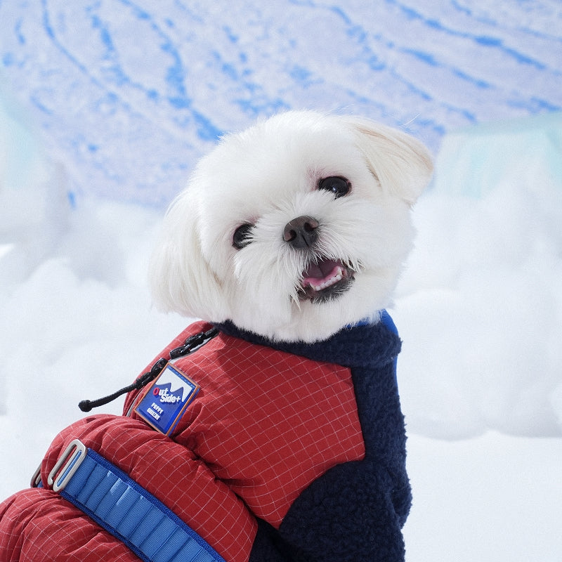 Ice Field Color Block Padding