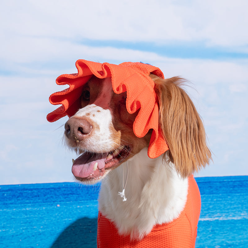 Casquette de soleil rafraîchissante à plis Gom Gom