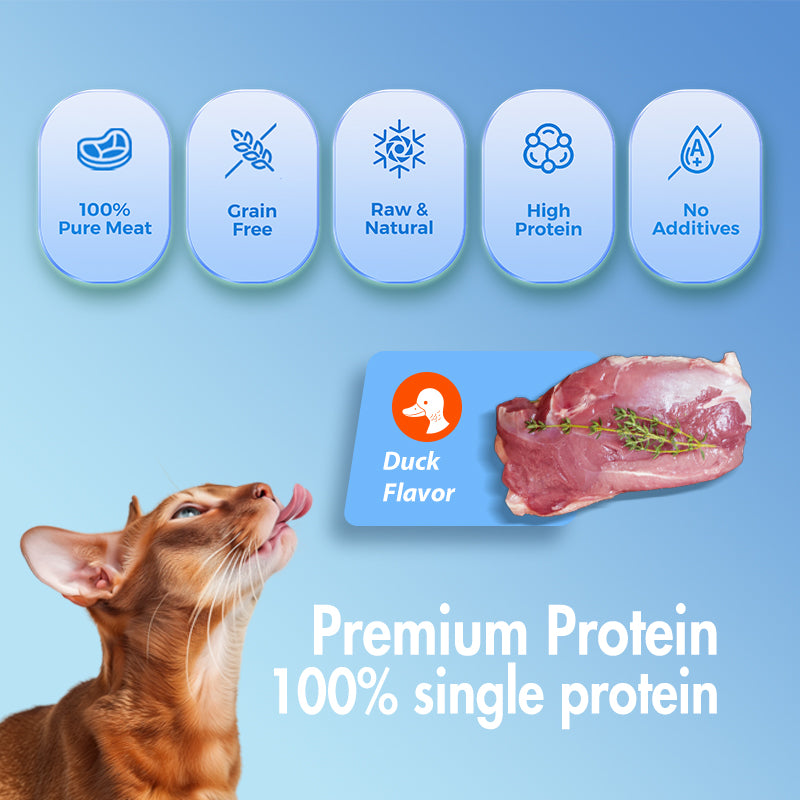 Freeze-Dried Duck - Dog & Cat Treats