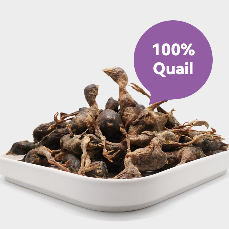 Freeze-Dried Whole Quail - Dog & Cat Treats