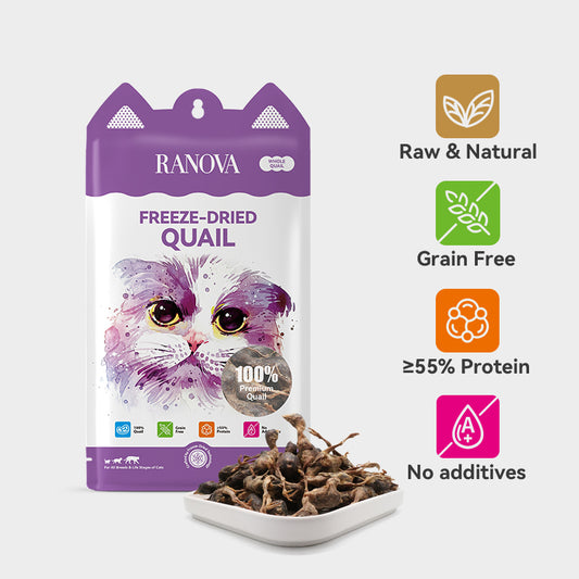 Freeze-Dried Whole Quail - Dog & Cat Treats