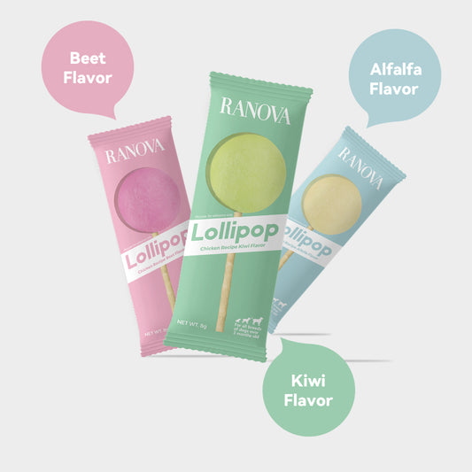 Freeze-Dried Lollipop Variety Flavor - Dog Treats