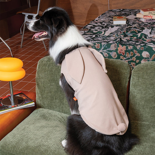 Cozy Bunny Top - Dog Fashion