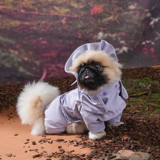 GO Pro Weather suit