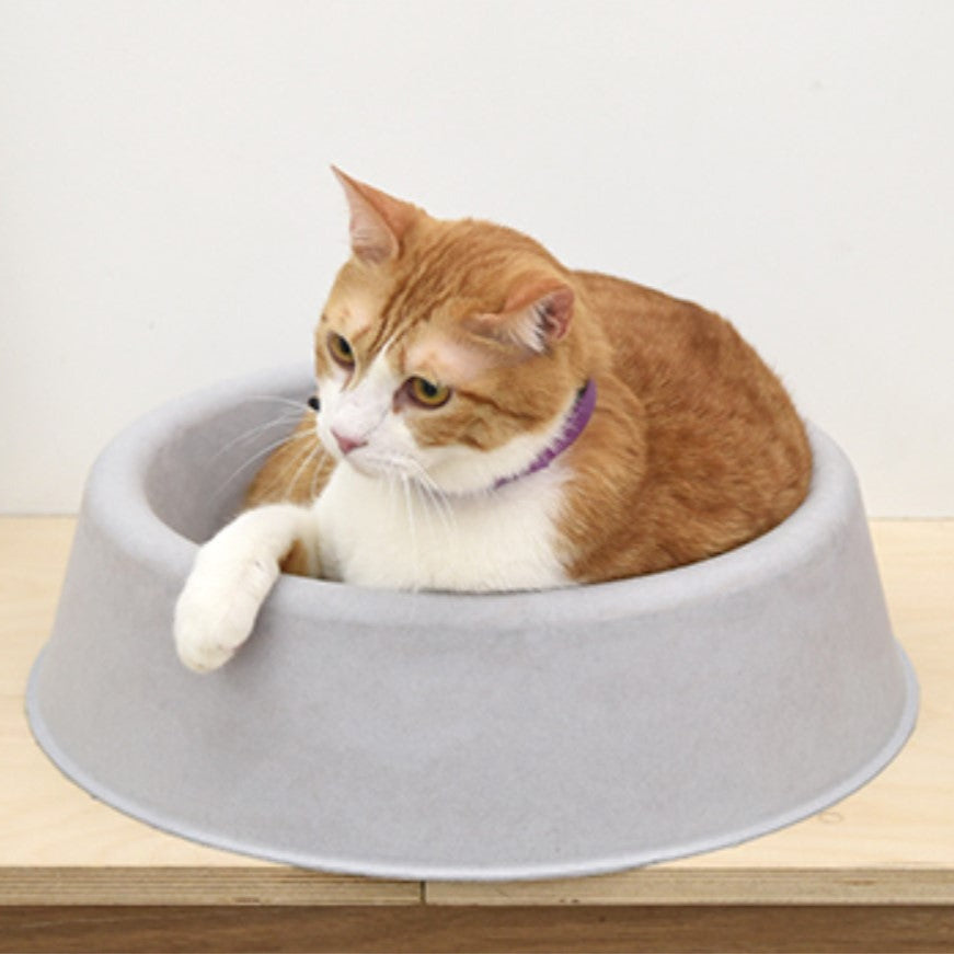 Confortable sur un tapis