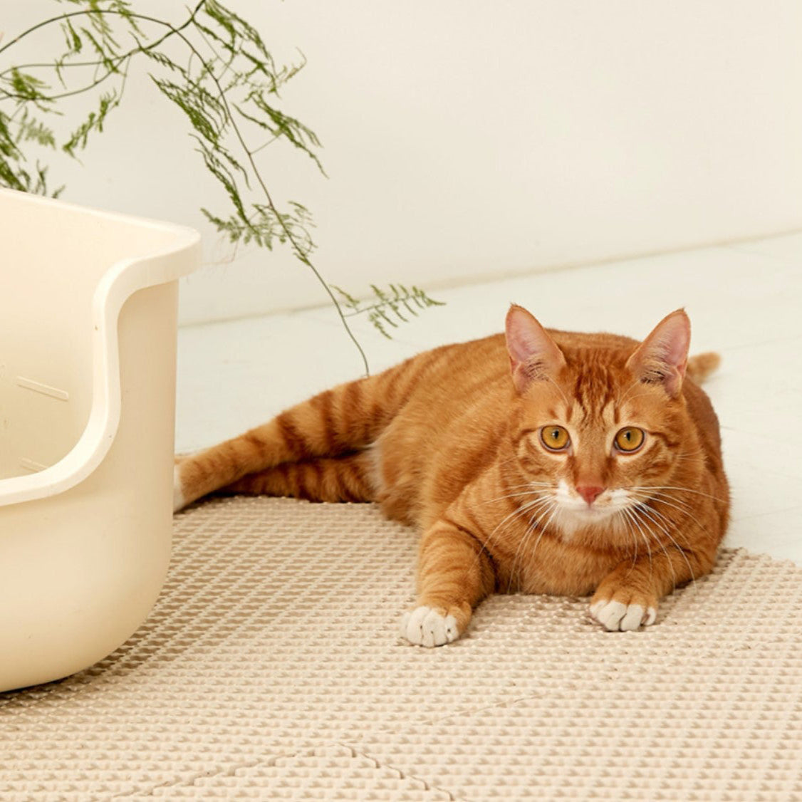 Tapis de sable