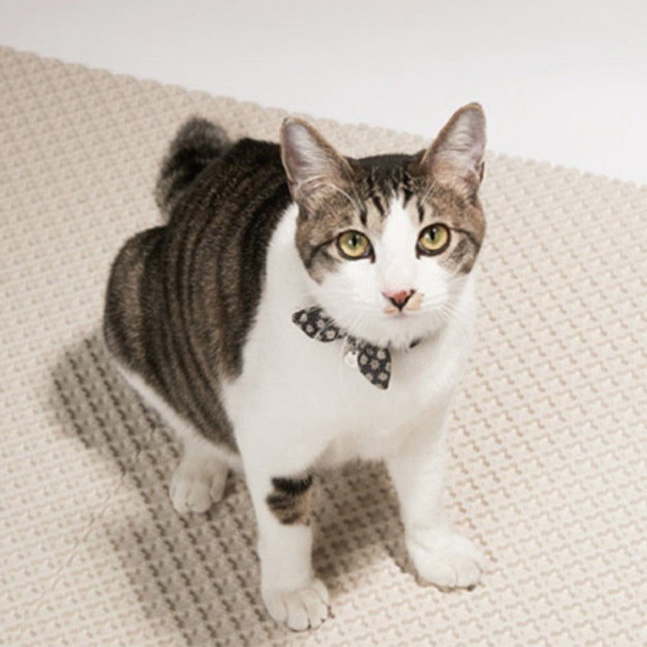 Tapis de sable