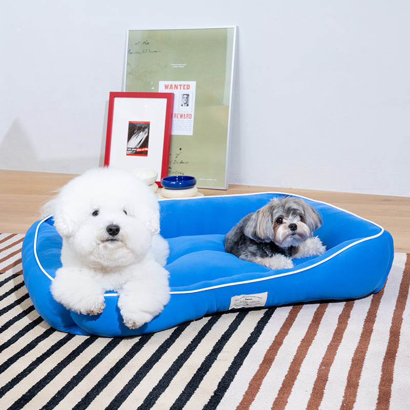 Cooling Cushion - Couch