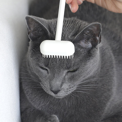 Brosse de toilettage Katin