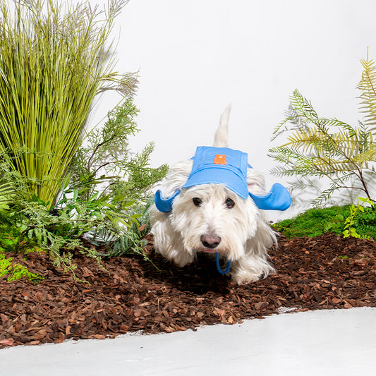 Chapeau de soleil Jelly Bear (bleu)