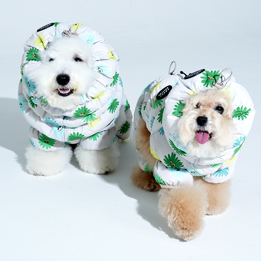Bichon and poodle wearing Anemone Cloud Padding Snood in beige color