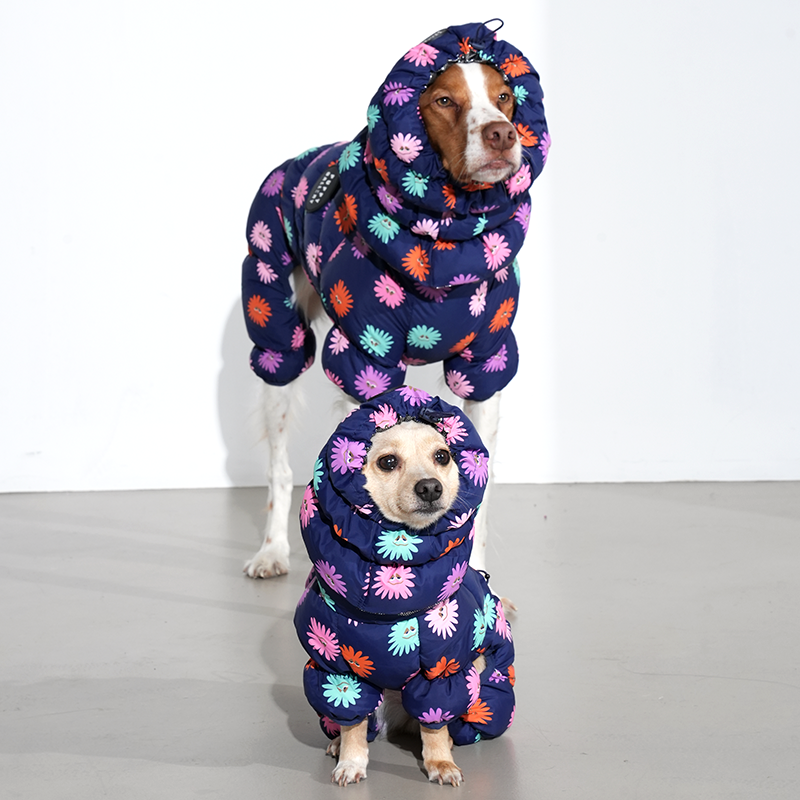 Brittany spaniel and mix dog wearing Anemone Cloud Padding Snood in navy color