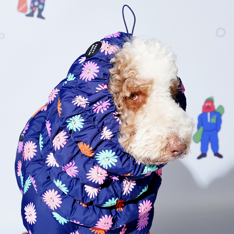 standard poodle wearing Anemone Cloud Padding Snood in navy color