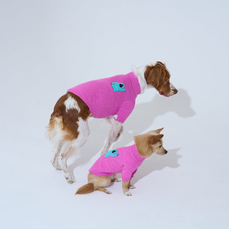 Brittany spaniel and mix dog are wearing Banana mania knit sweater in magenta color