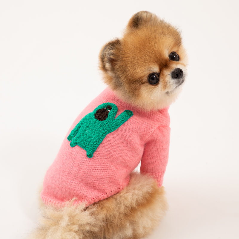 Pomeranian wearing Banana mania knit sweater in pink color