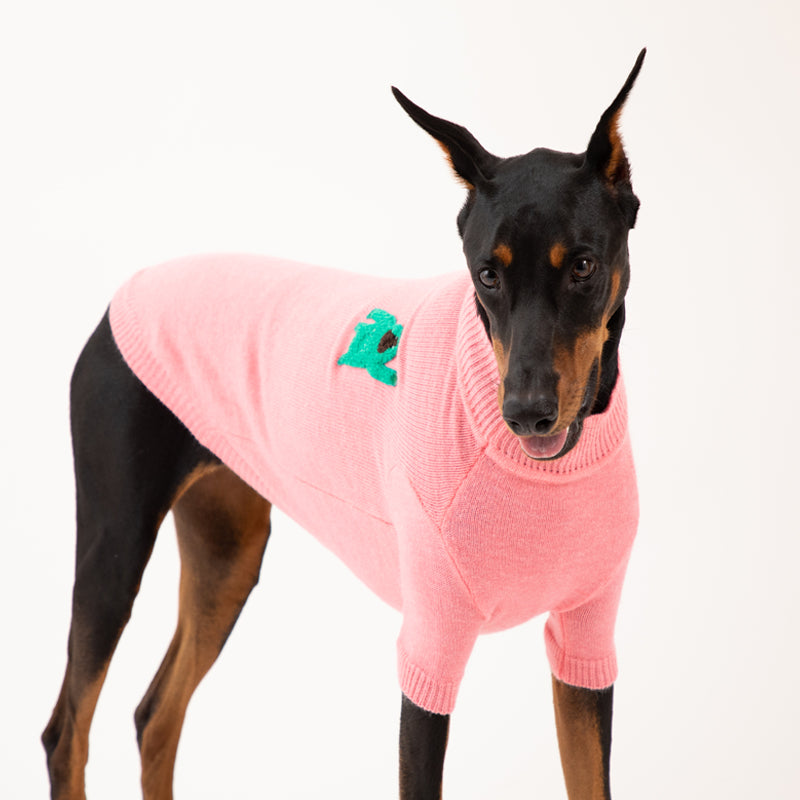 doberman wearing Banana mania knit sweater in pink color