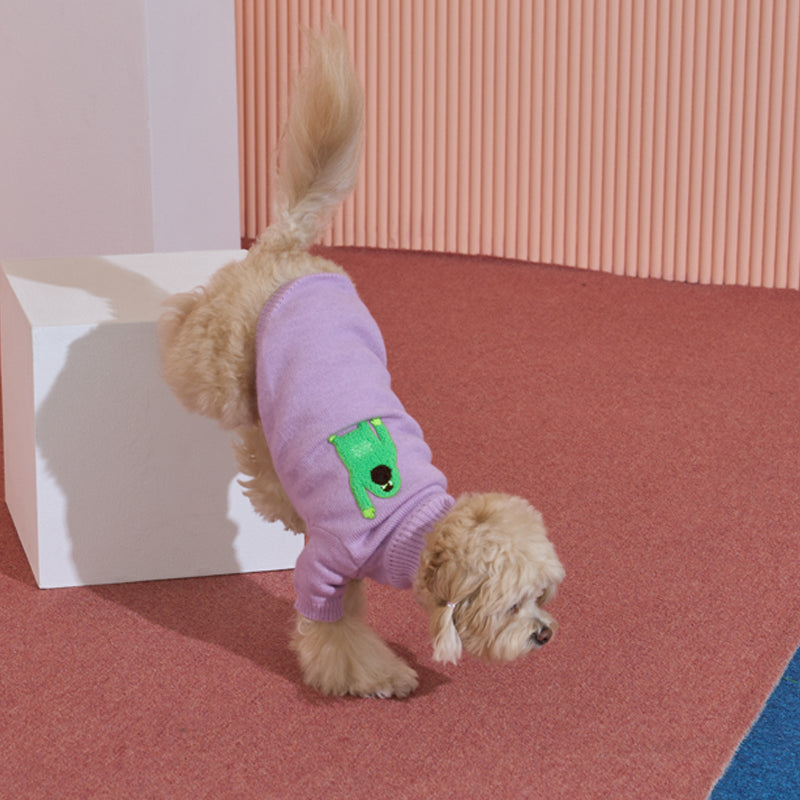 maltipoo wearing Banana mania knit sweater in purple color