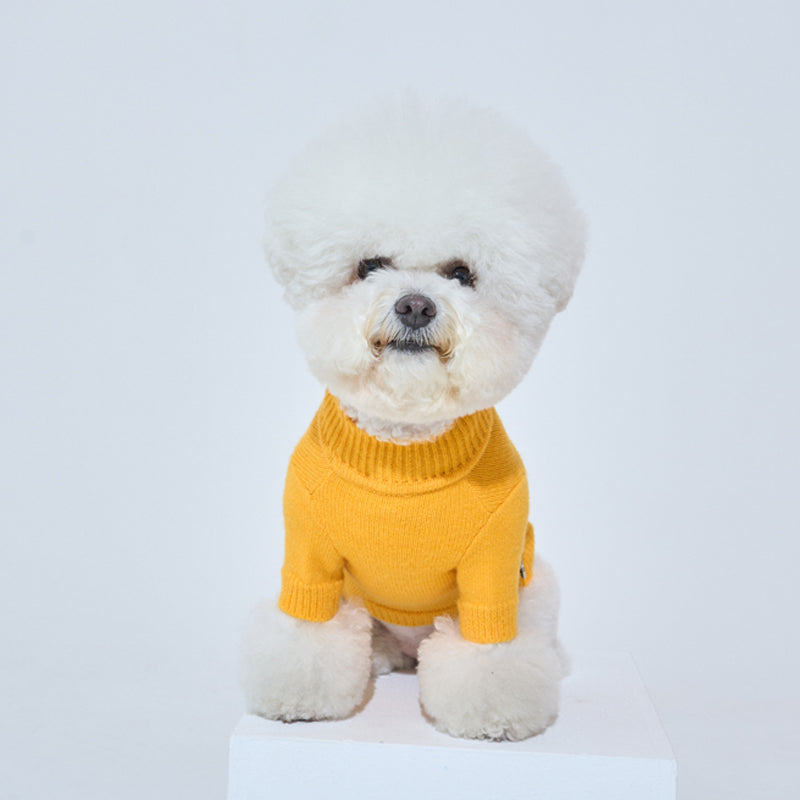 bichon wearing Banana mania knit sweater in yellow color