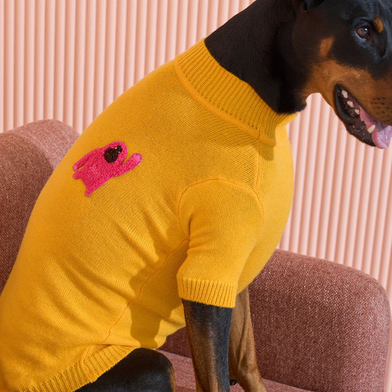 doberman wearing Banana mania knit sweater in yellow color