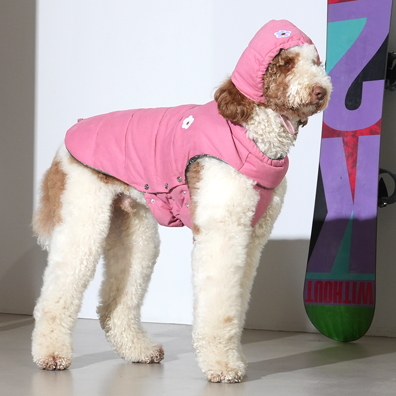 standard poodle wearing Daisy vintage padding and bonnet in pink color