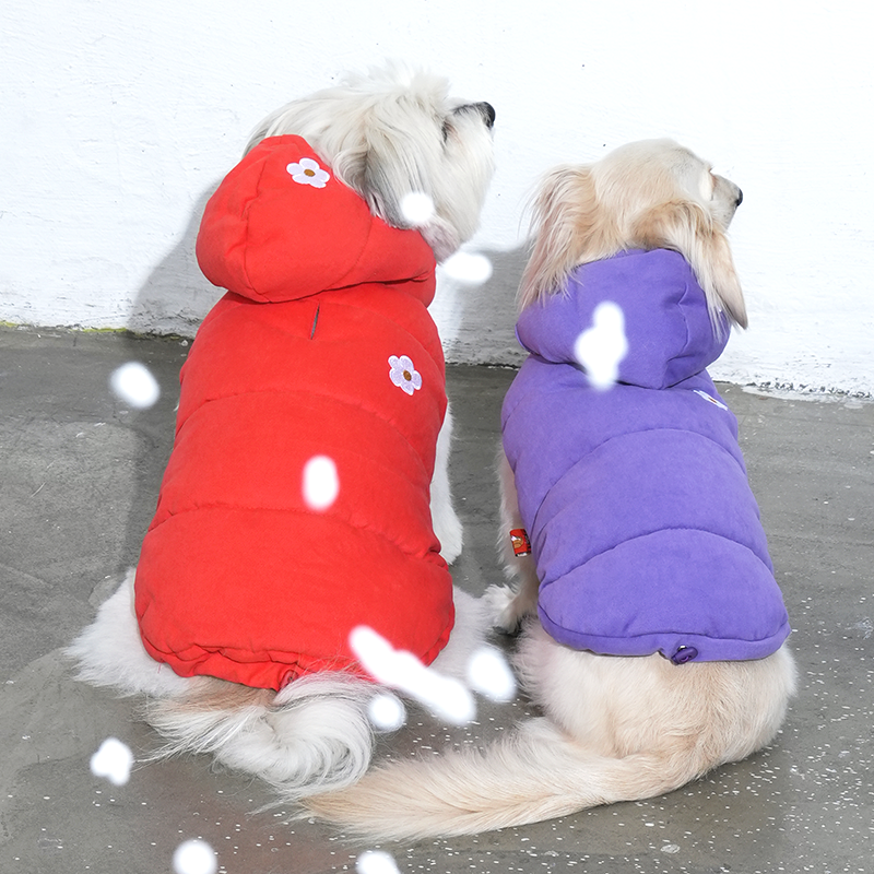 Dachshund and mix wearing Daisy vintage padding and bonnet