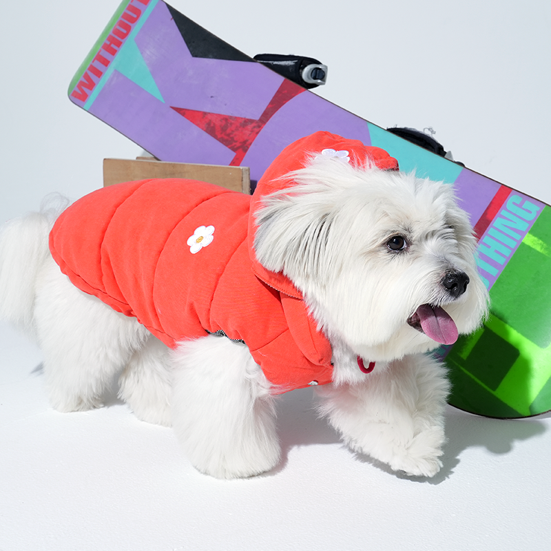 Mix dog in red Daisy vintage padding and bonnet