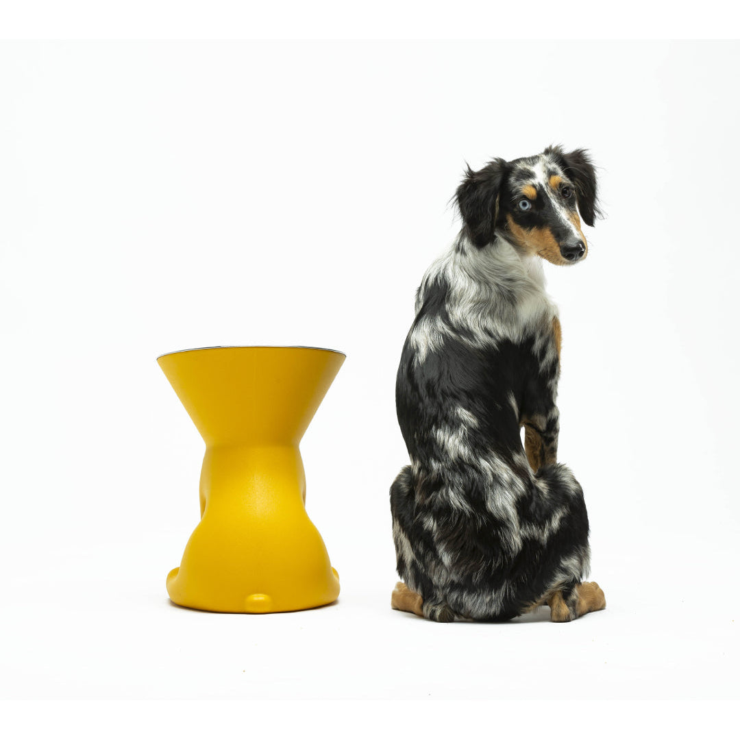 ELIZABETH - La Reine du Bowl