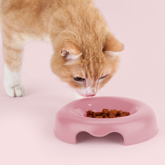 KITTY - Gamelle pour chat/chien