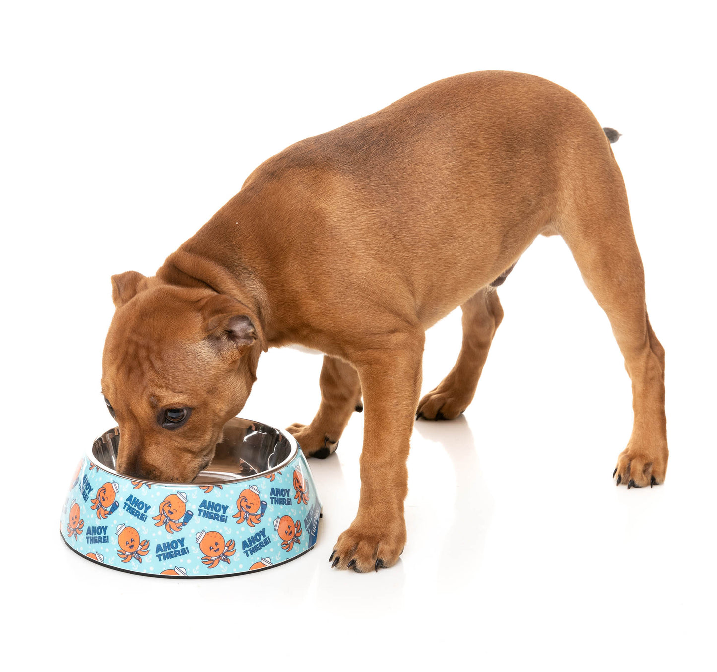 Easy Feeder Bowl