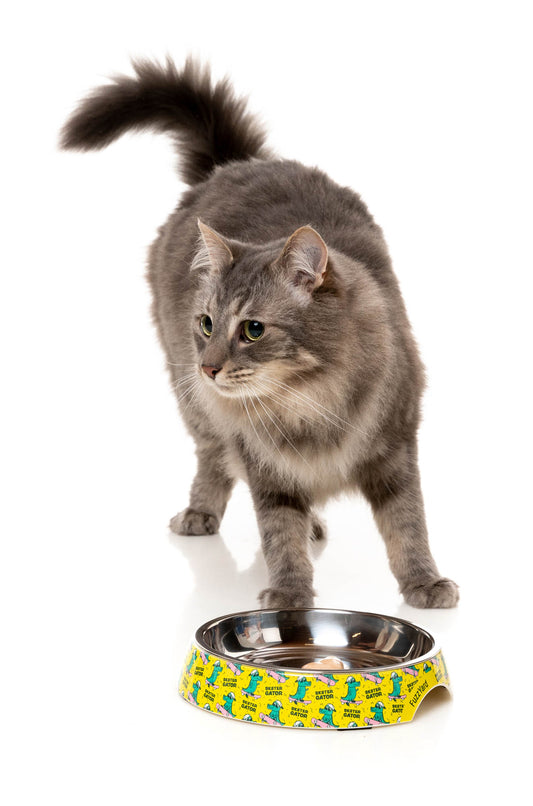 Easy Feeder Cat Bowl