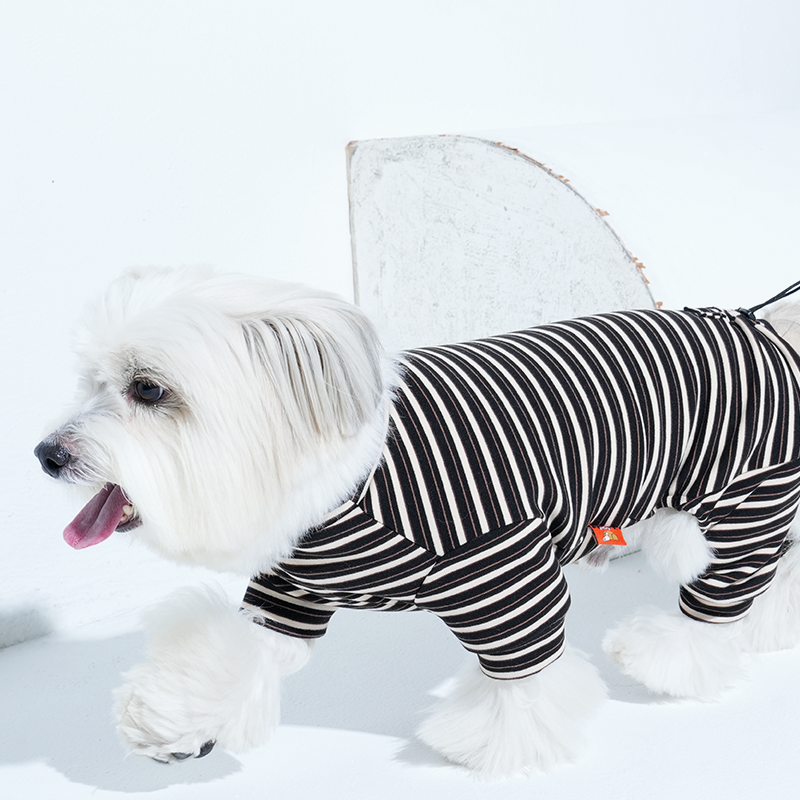 mix dog wearing Jamjam stripe all in one in black color
