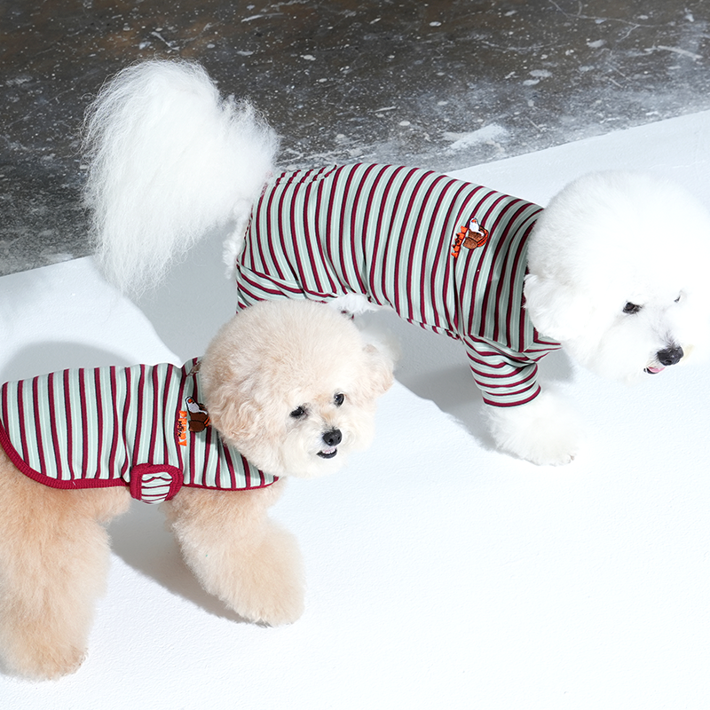 bichon wearing Jamjam stripe all in one in mint color, poodle wearing Jamjam stripe vest