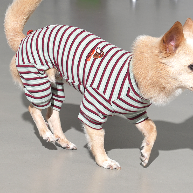 mix dog wearing Jamjam stripe all in one in mint color