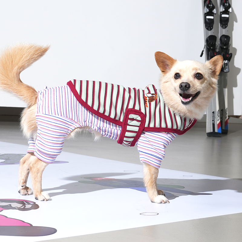 mix dog wearing Jamjam stripe wrap vest in mint color and jumpsuit in purple color