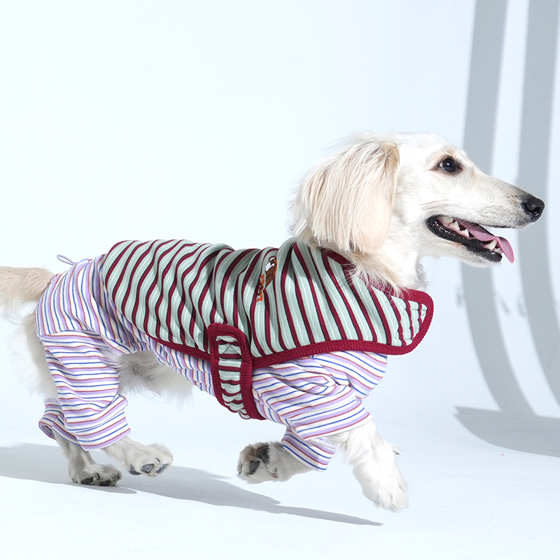 dachshund wearing Jamjam stripe wrap vest in mint color and jumpsuit in purple color