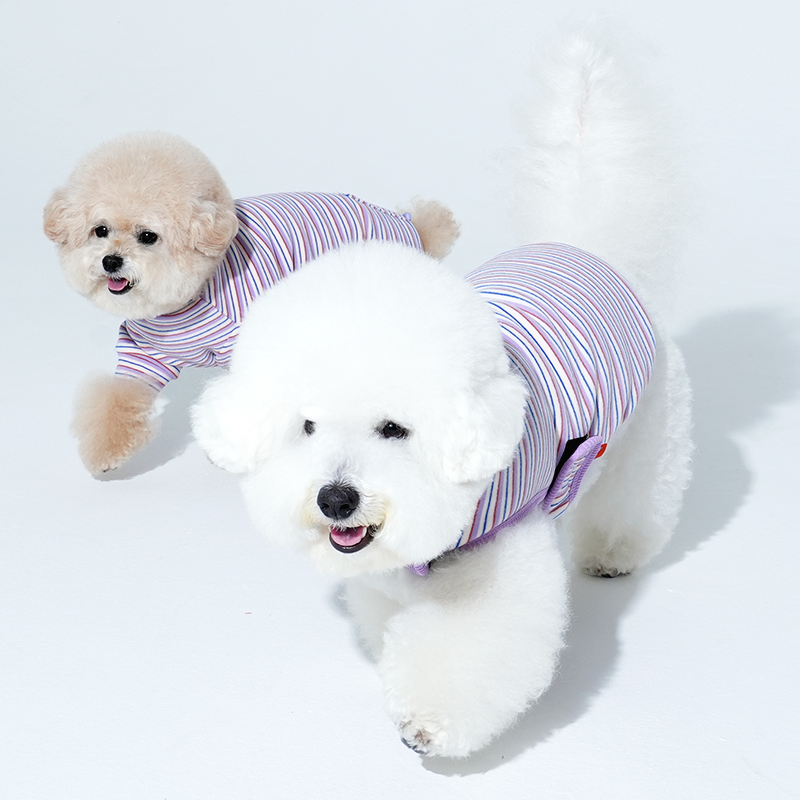 bichon and poodle are wearing Jamjam stripe wrap vest and jumpsuit in purple color
