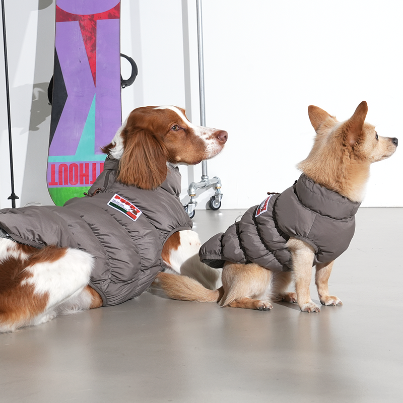 Brittany spaniel and mix dog wearing Kiroro cloud padding vest in mocha grey color