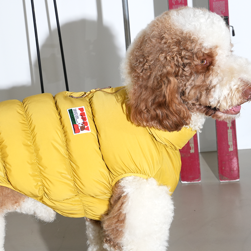 standard poodle wearing Kiroro cloud padding vest in yellow color