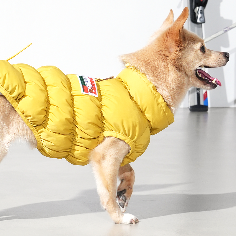 mix dog wearing Kiroro cloud padding vest in yellow color