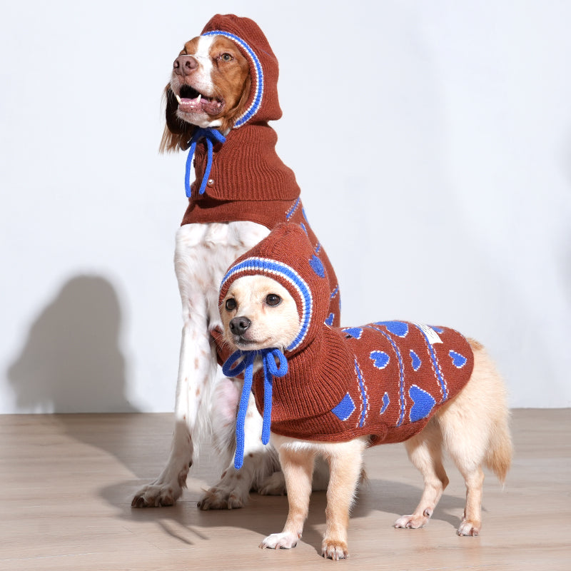 brittany spaniel and mix dog are wearing Love Edition Knit Vest & Bonnet set in brown color